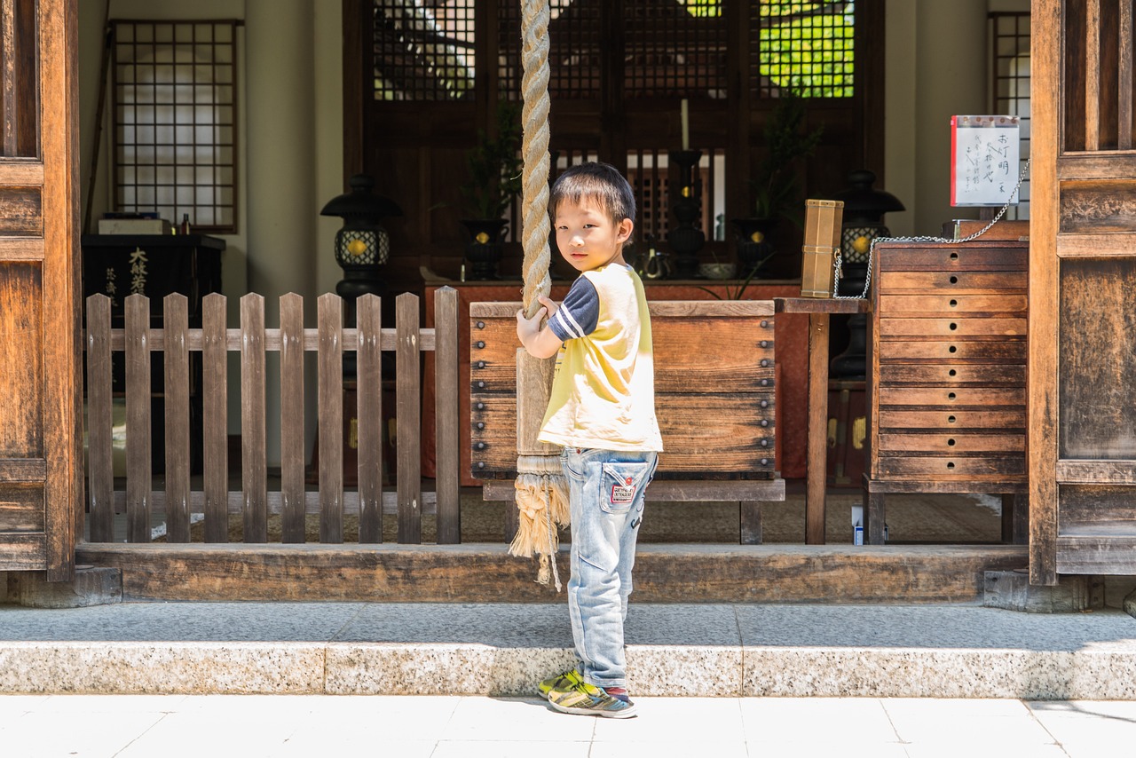 探索日本电影新纪元，2015年日本电影的辉煌之旅