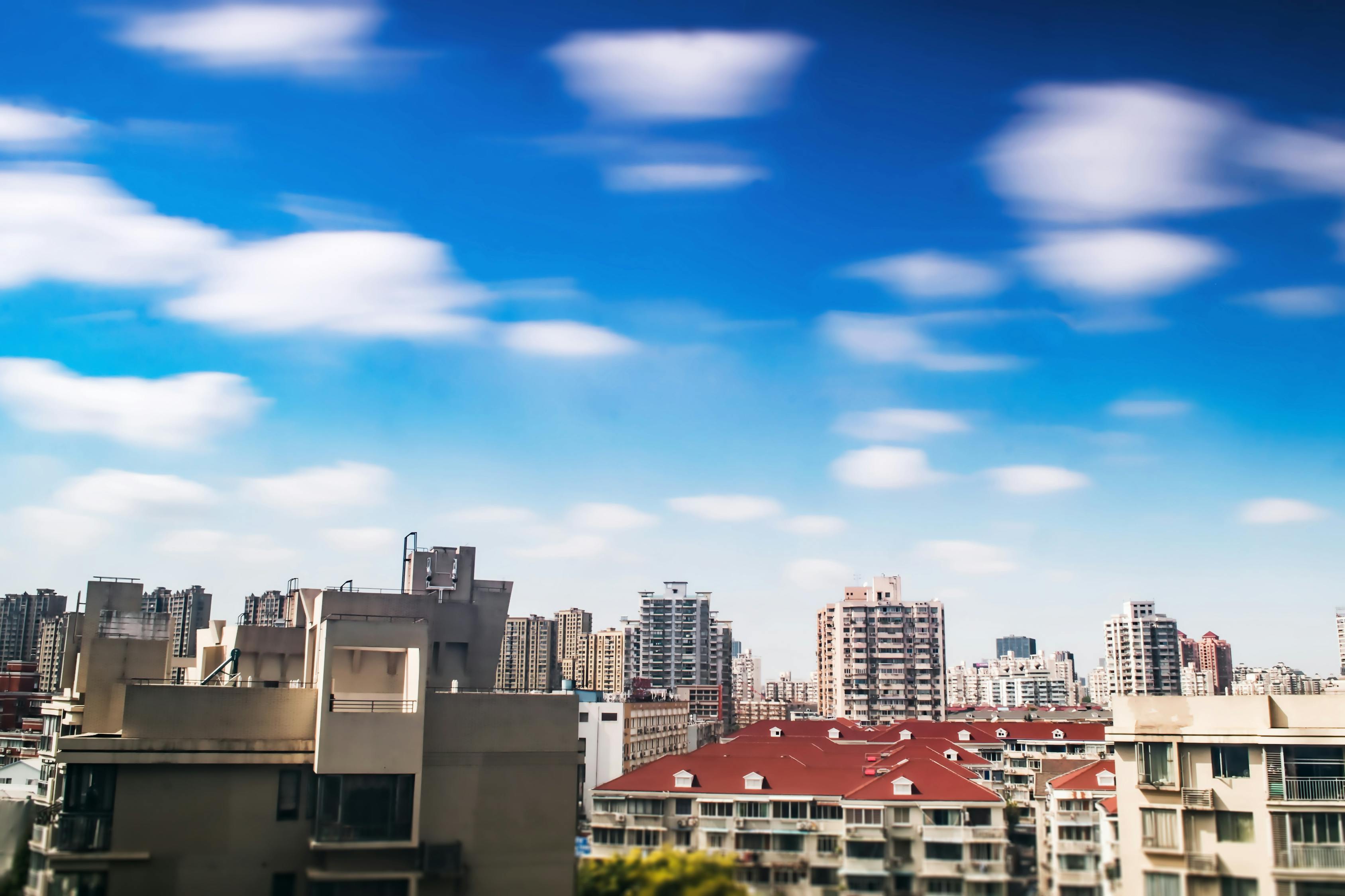 拳坛一周热点资讯回顾，最新动态概览