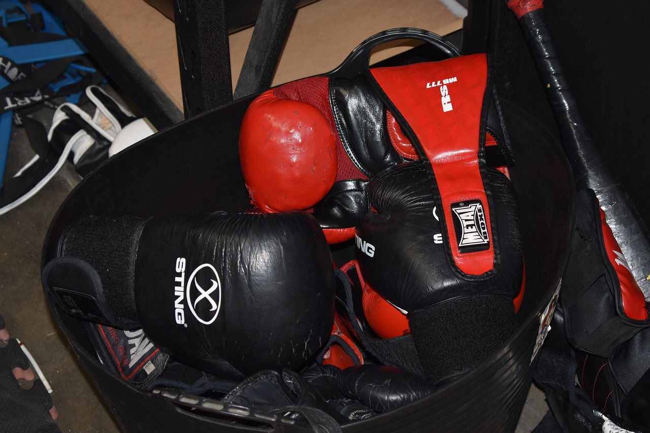 UFC最新动态，格斗热潮与瞩目焦点的持续更新