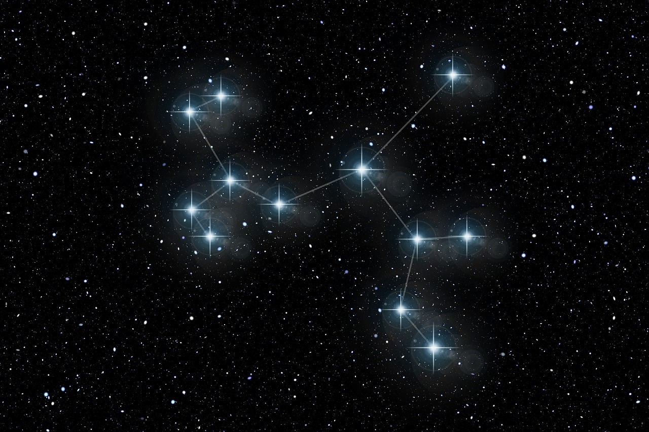 全能明星导师，引领未来的璀璨光芒