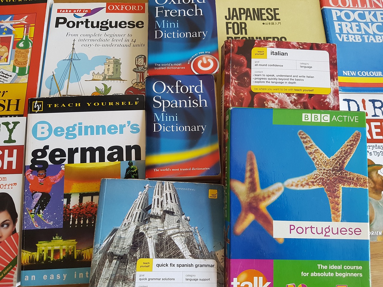 新书发布，探索知识的新领域之旅