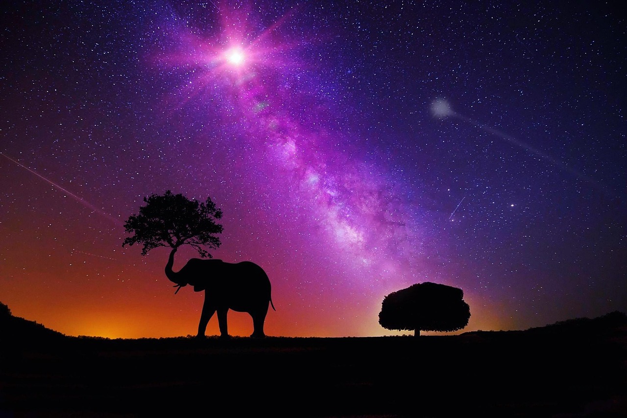 璀璨文艺明星，照亮文化天空的璀璨之星