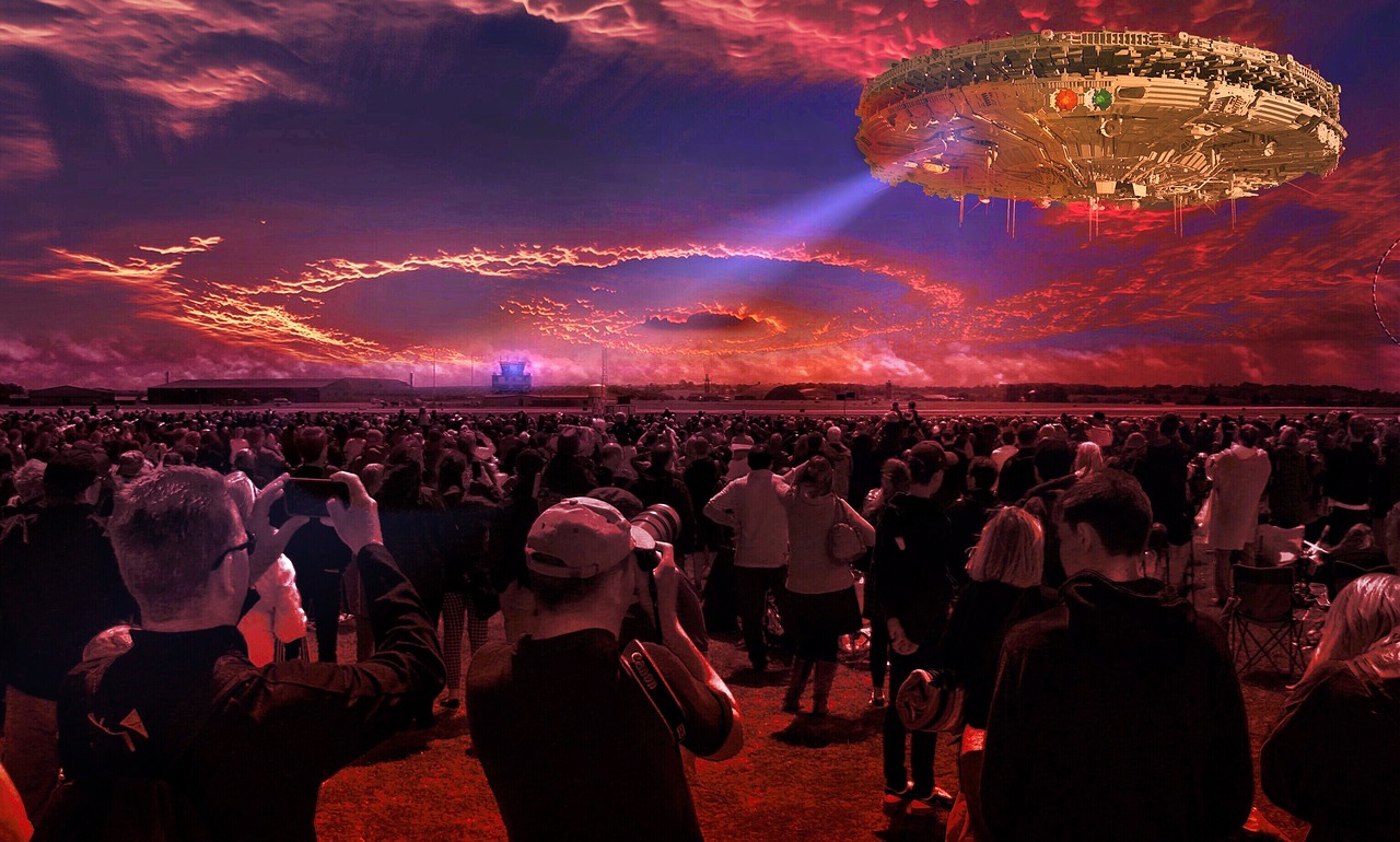 欣欣向最新小说揭秘，未知世界的魅力与奇幻之旅