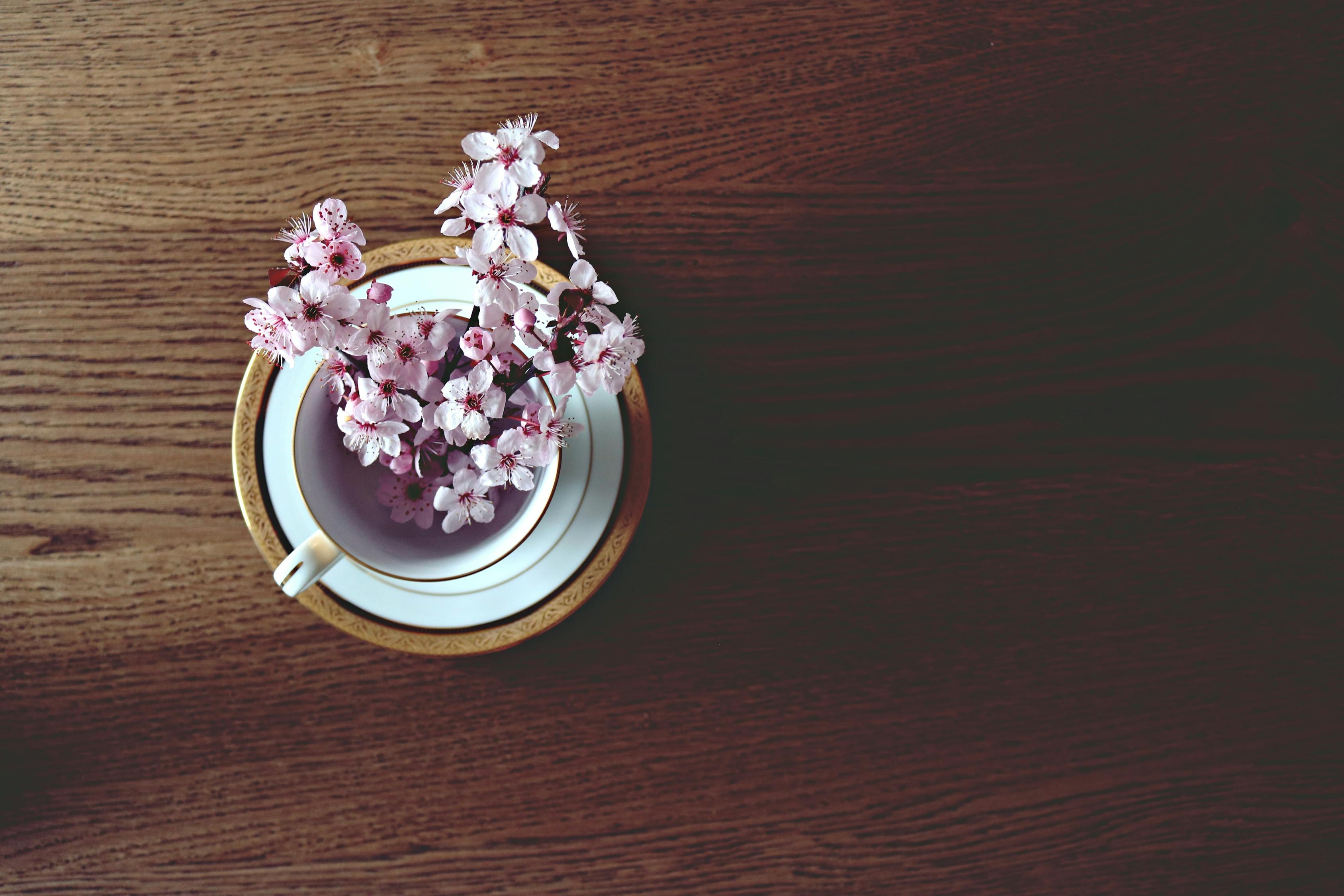 春茶上市季节探寻，茶香四溢的奥秘
