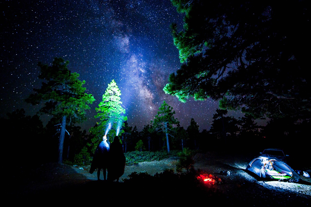 舞法天女，动漫世界的奇幻冒险之旅
