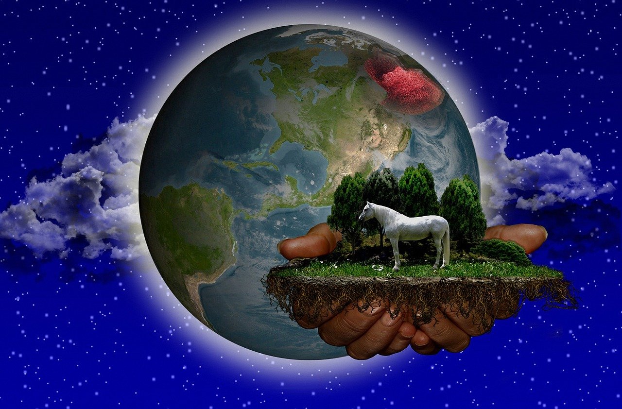 恶魔动漫岛，虚拟世界中的奇幻探险