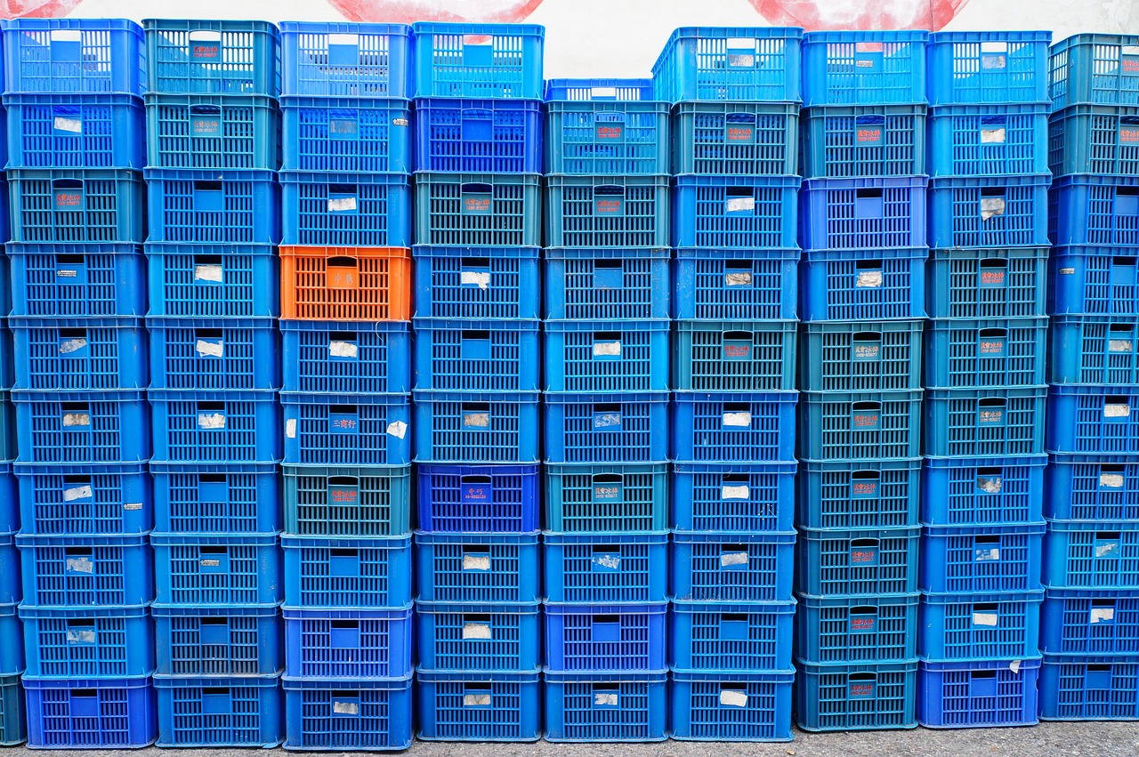 五羊纸尿裤最新动态，引领行业创新，打造品质生活新标杆