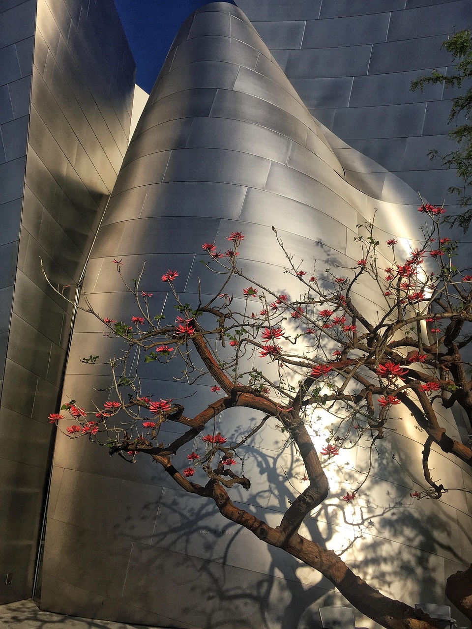 兴山高铁站建设进展、最新动态与未来展望