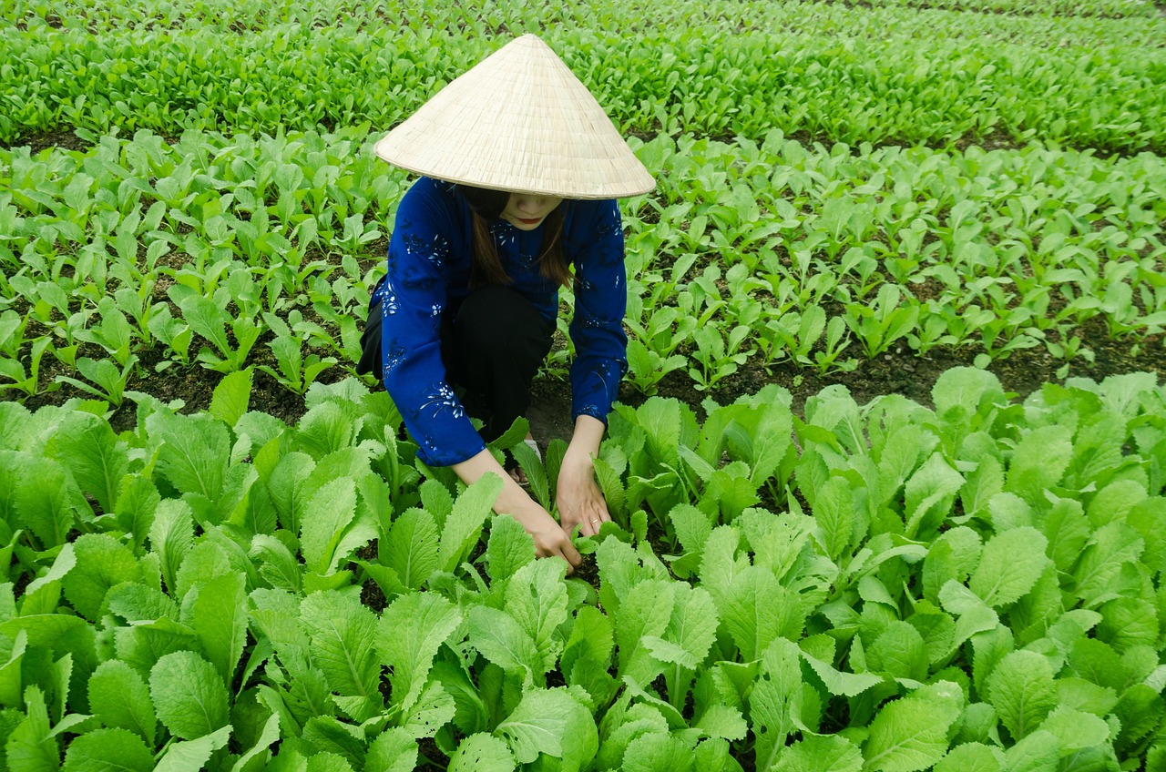 青州车祸最新动态，事故进展及反思