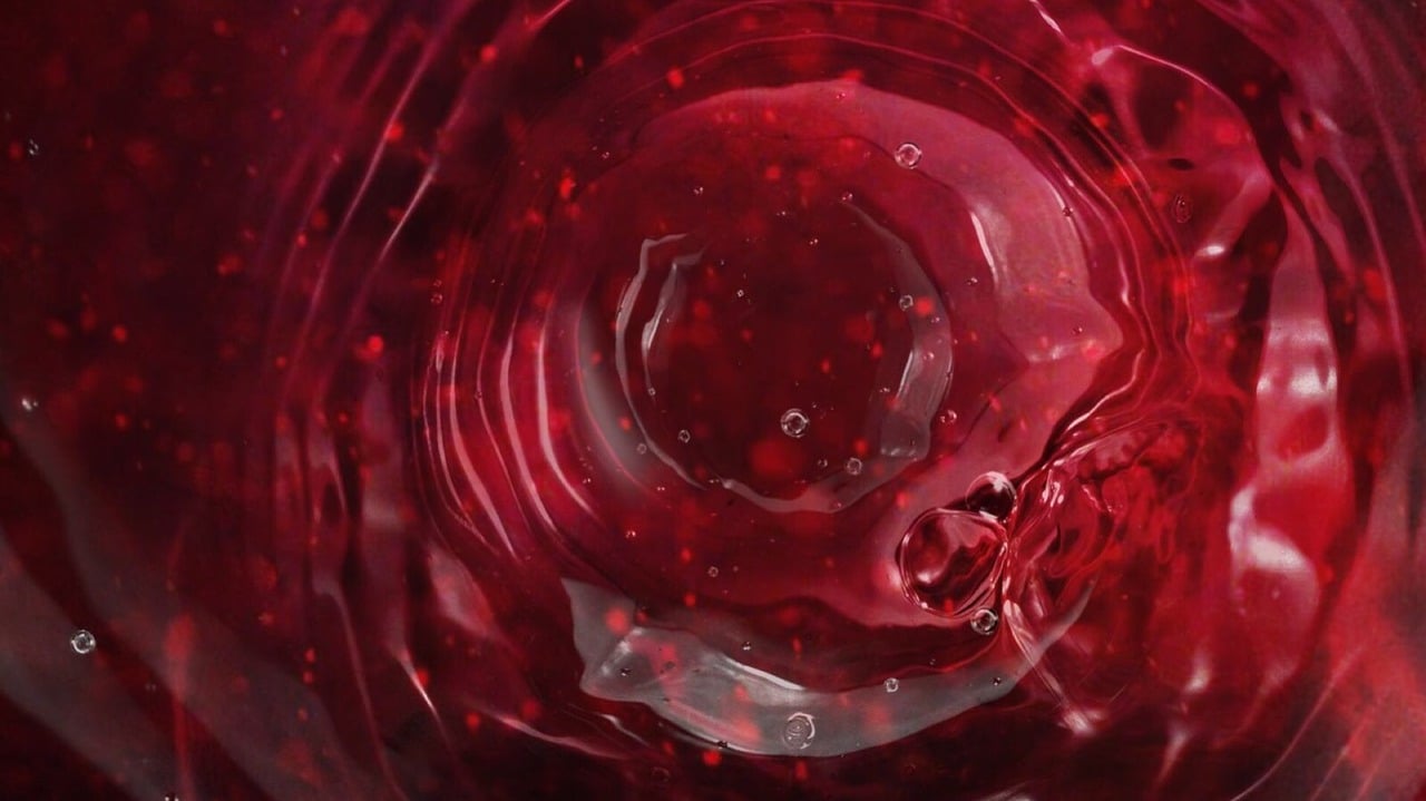 水晶天使最新版，探索神秘魅力的无限可能