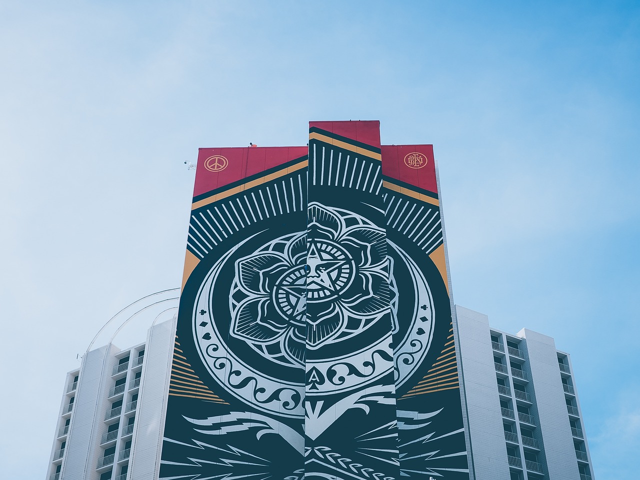 河北邮币收藏家杨鸿微博更新，探索与分享的艺术之旅