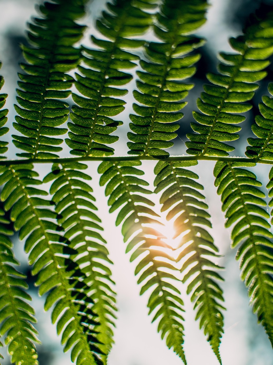 华银天鹅湖，生态美景持续更新，活力体验不止步的湖畔生活动态
