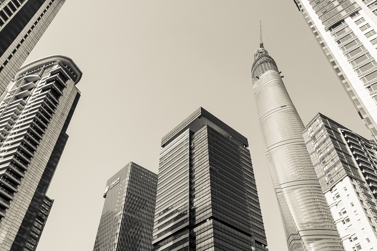 中天金融行情深度解析与预测