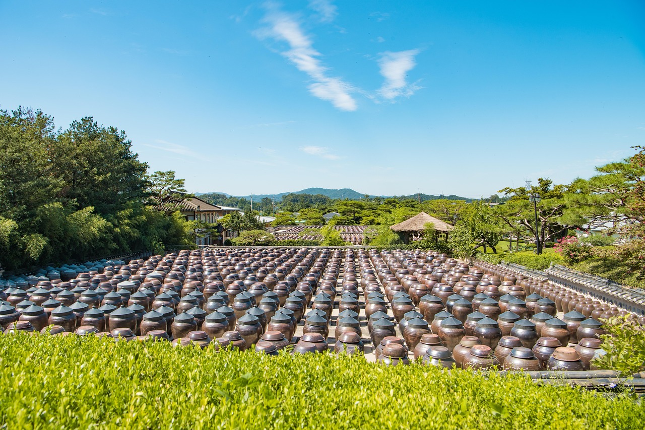 探索未来农业新领域，西瓜新品种介绍与展示